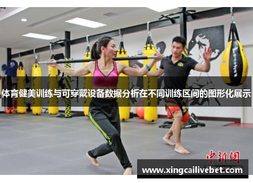 体育健美训练与可穿戴设备数据分析在不同训练区间的图形化展示