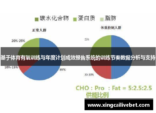 基于体育有氧训练与年度计划成效报告系统的训练节奏数据分析与支持
