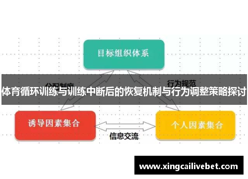 体育循环训练与训练中断后的恢复机制与行为调整策略探讨