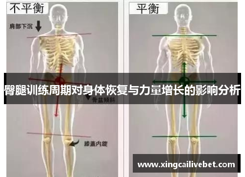 臀腿训练周期对身体恢复与力量增长的影响分析